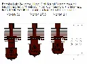 BBL 24 HS Voron 24-27-33 Starlex DHB Front size.webp